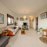 Gran Casa Terrera *